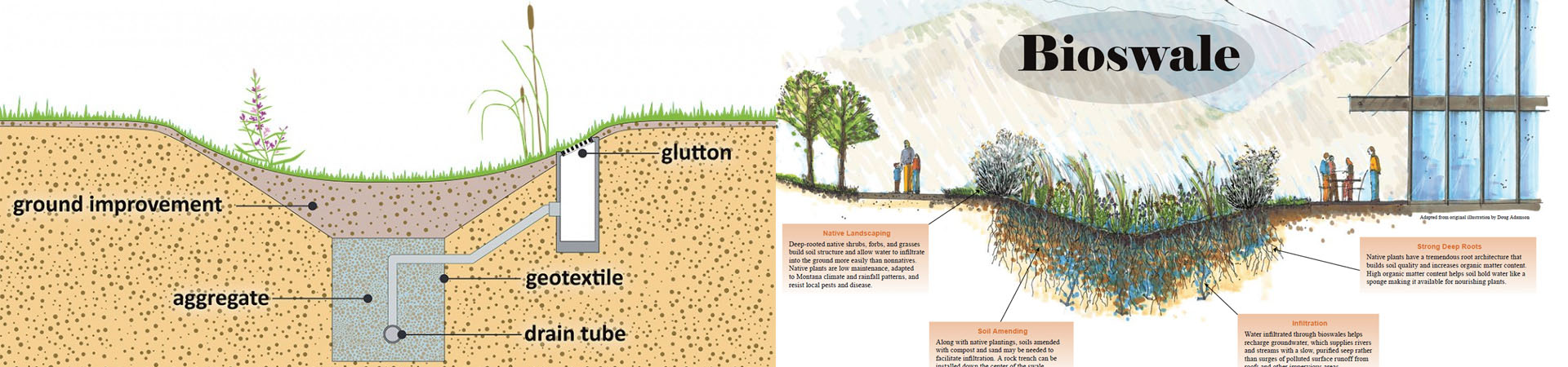 Bioswale for Rainwater Drain